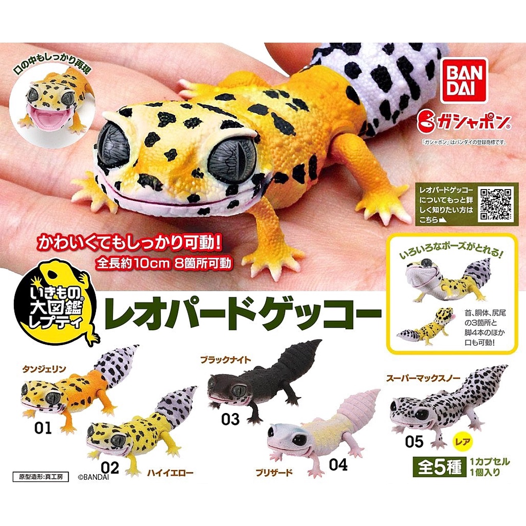 (เพิ่ม4แบบพร้อมส่ง) กาชาปองตุ๊กแกเสือดาวมินิเบบี้ Gachapon Bandai Ikimono Encyclopedia Leopard Gecko