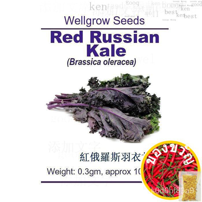 WHT wellgrow benefits herbs Sheba #238523233สเน่ห์100คลีน EMH6