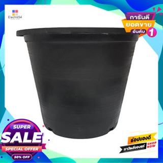 Black กระถางพลาสติกดำ TPS ขนาด 7.5 นิ้ว (แพ็ก 25 ชิ้น) สีดำ Black TPS Plastic Flower Pot Size 7.5 inches (Pack 25 pcs.)