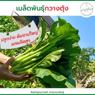 เมล็ดพันธุ์กวางตุ้ง🥬เมล็ดพันธุ์ผักปลูกง่ายโตเร็ว  (บรรจุ 4500+เมล็ด/ซอง)