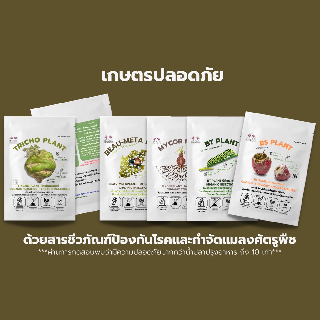 บิวเวอร์เรีย ผสม เมธาไรเซียม 1kg ราคาส่ง กำจัดแมลงศัตรูพืชทุกชนิด ออร์แกนิค ปลอดภัย รูปที่ 6