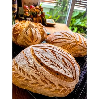sourdough ซาวโดว์ ขนมปังเพื่อสุขภาพ