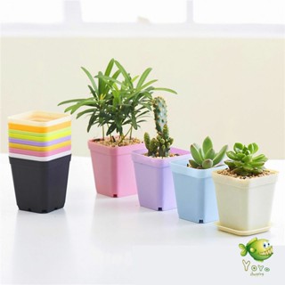 YOYO กระถางต้นไม้พลาสติก พร้อมถาดรอง กระถางขนาดเล็ก  Plastic flowerpot