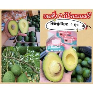 🎯พร้อมส่งจร้า 🌿เเฮสส์ Hass ราชาอาโวคาโด้🥑ขนาด 4-8ลูกโล ขายเป็นกิโลนะจร้า