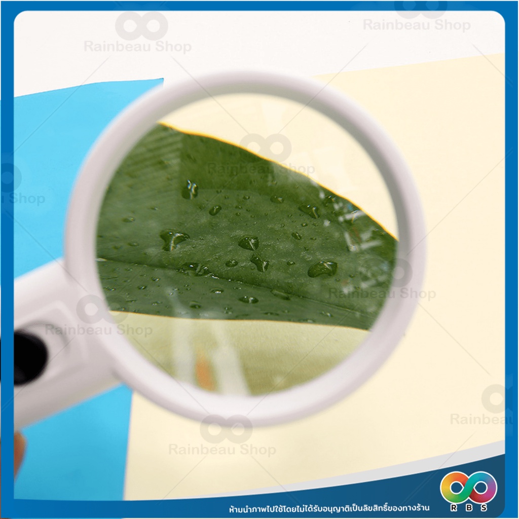 รูปภาพ 7