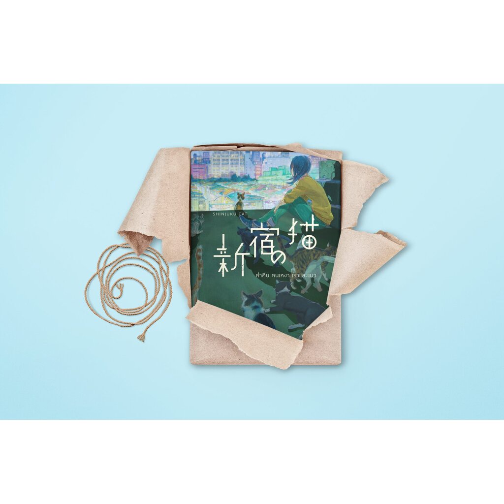 หนังสือ ค่ำคืน คนเหงา เราและแมว -นวนิยายอบอุ่นหัวใจ ความสัมพันธ์น่าประทับใจระหว่างคนกับแมว