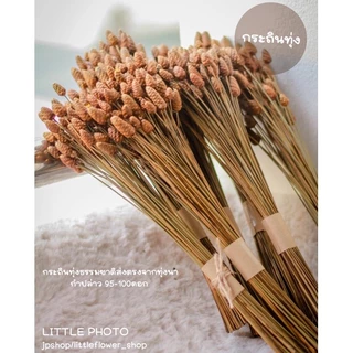 JPCraft🌻-ดอกกระถินทุ่ง ดอกไม้แห้ง กำปล่าว กำละ100ดอก(F8)