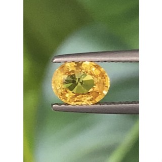 พลอย บุษราคัม yellow sapphire 1.12 กะรัต (Cts.)