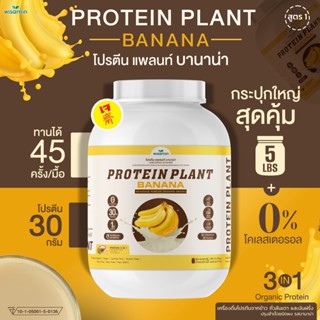 โปรตีนแพลนท์ สูตร 1 (รสบานาน่า) PROTEIN PLANT (ปริมาณ 2.27 kg./กระปุก) โปรตีนพืช 3 ชนิด ออแกรนิค ขนาด 5 ปอนด์ 5LBS