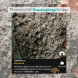 (ค่าส่ง 39 บาท) ดินผสมใบก้ามปูสูตรขี้วัวบด 1 กระสอบ (14.5-15 kg.) ดินพร้อมปลูก >>พื้นที่ห่างไกล มีค่าใช้จ่ายเพิ่ม<<