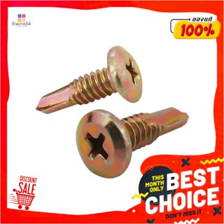 SELF-DRILLING สกรูปลายสว่าน TP DEXZON WSD-16R 10 ตัวSELF-DRILLING SCREWS TP DEXZON WSD-16R 10EA