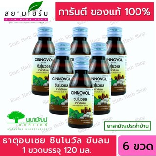 [ 6 ขวด] ยาธาตุอบเชย ซินโนวัล บำรุงธาตุ ขับลม แน่นท้อง ขนาด 120 มล (ยาสามัญประจำบ้าน)