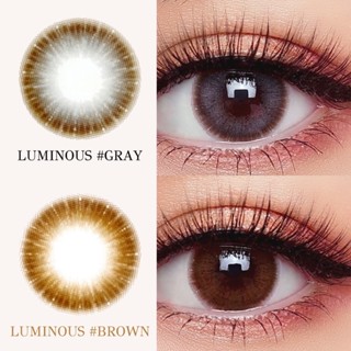 คอนแทคเลนส์ (ลิมิเตด) รุ่น Luminous Gray / Brown &lt;&lt;&lt; แบบสายตาปกติและสายตาสั้น