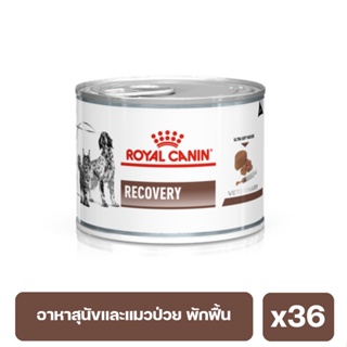 Royal Canin Recovery อาหาสุนัขและแมวป่วย พักฟื้นหลังผ่าตัด  เบื่อหรือขาดสารอาหาร 195g. x36 กระป๋อง