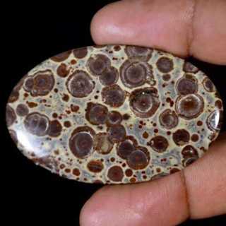 1 pc Natural  Asteroid Jasper 2-3 cm Polished Cabochon Stone / Top High Quality Stone / Jewelry Stone Healing Chakra