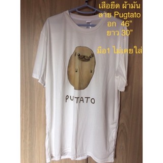 เสื้อยืด ผ้ามัน เด้ง มือ1 ไม่เคยใส่