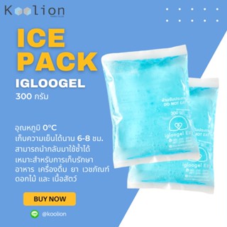 เจลเก็บความเย็น Ice Gel อุณหภูมิ 0 °C ขนาด 300 กรัม แช่นมแม่ แบบพกพา igloogel Ezy 300g.