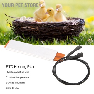 Your Pet Store แผ่นทำความร้อน PTC เปลือกอลูมิเนียมเครื่องทำความร้อนอัตโนมัติเซรามิกขนาดเล็กเครื่องทำความร้อน