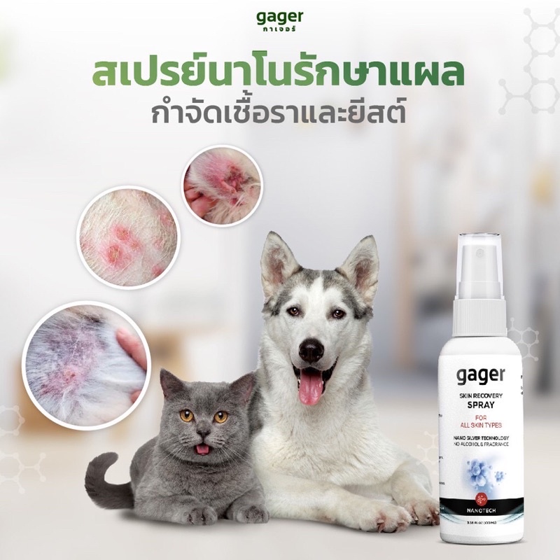Nano Silver Spray (30ml.) สเปรย์นาโน gager รักษาเชื้อรา สุนัข แมว รักษาแผลติดเชื้อ แผลผ่าตัด โรคผิวห