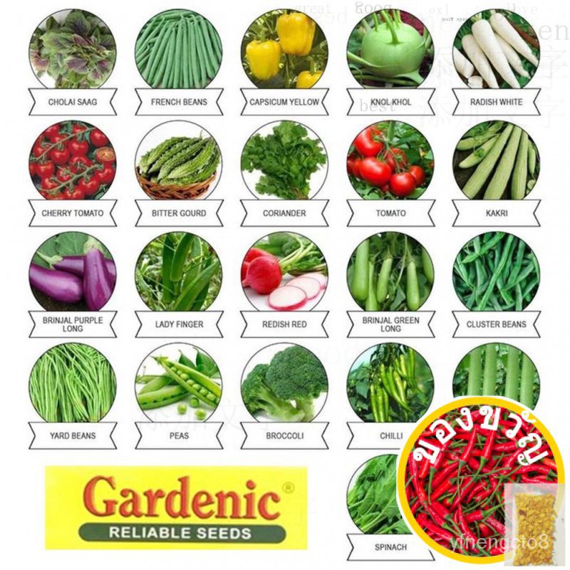Local sellerseed vegetable gardenic/gardenic vegetable seeds มะละกอ/เด็ก/กางเกง/เมล็ดพืช/seeds/ขึ้นฉ