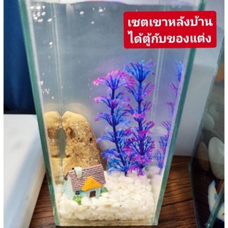 ตู้ปลากัด​เล็ก​3*7 แต่งตู้ปลา​ได้🎏🐬