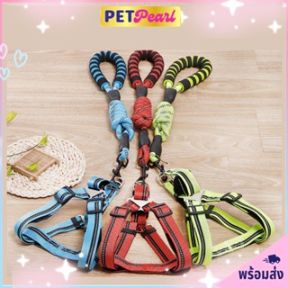 PetPearl🐶 Size L, XL สายจูงหมา สายจูงแมว สายจูงสุนัข Pet collar