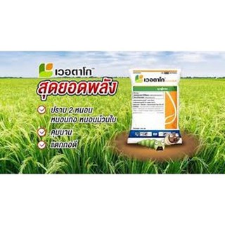 ขนาดใหม่ คุ้มกว่า เข้มกว่า เวอตาโก 15g. คลอแรนทรานิลิโพล+ไทอะมีทอกแซม กำจัดแมลง กำจัดเพลี้ย กำจัดหนอน แทนพรีวาธอน Pest