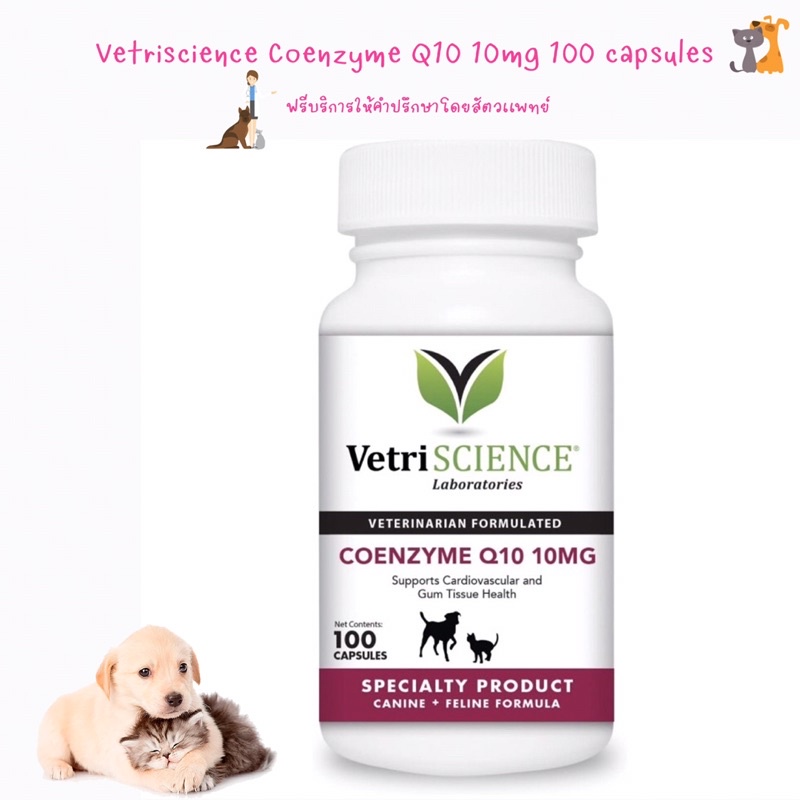 พร้อมส่ง VetriScience Laboratories - Coenzyme Q10 10mg, 100 แคปซูล สำหรับสุนัขและแมว 🐩 🐈‍⬛