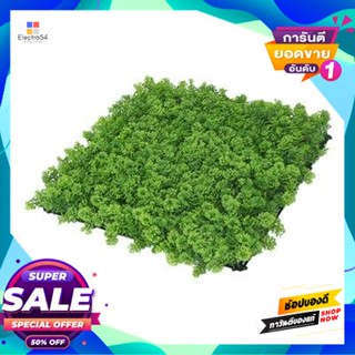 Artificial แผงใบไม้ประดิษฐ์  รุ่น MZ188054A สีเขียว Artificial Leaf Panel FONTE MZ188054A Green