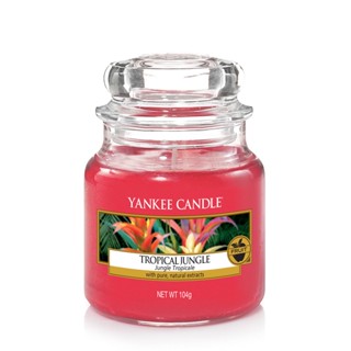 Small Jar Candles Tropical Jungle