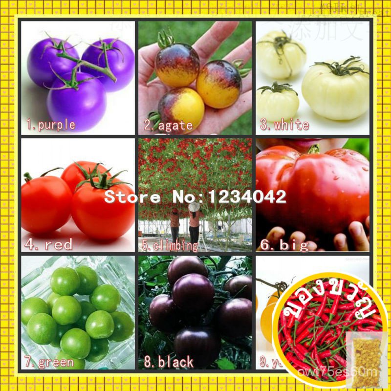 180PC Tomato seeds, 9 varieties of potted vegetable seeds, Cherry Tomato seeds สวนหย่อม/กางเกงชั้นใน