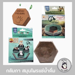 กลัมภาสมุนไพรแช่น้ำดื่มสัตว์เลี้ยง ช่วยให้สัตว์เลี้ยงกินน้ำไ…