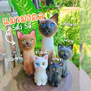 🐱 แมวมงคล 5ตัว 5สี ไม้แกะสลักจากไม้จามจุรี(ไม้ฉำฉา)