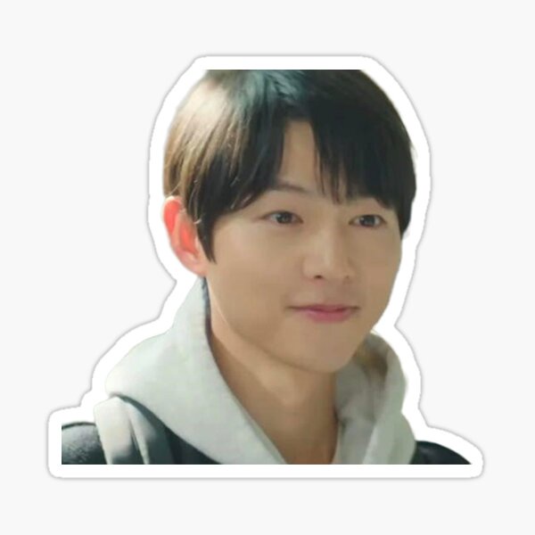 สติ๊กเกอร์กันน้ำ สติ๊กเกอร์ติดรถ แม่เหล็กติดตู้เย็น Reborn Rich ซงจุงกิ ชินฮยอนบิน SONG Song Joong K