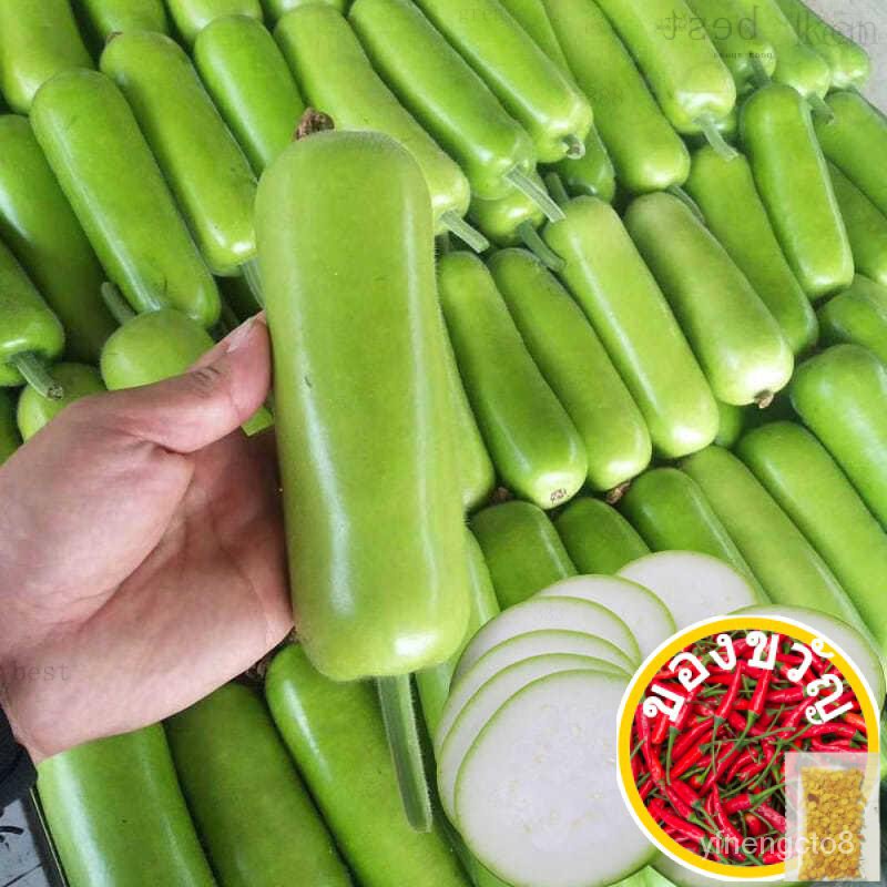 152.6Pcs ฟรี Normal Mail ใน SG มะละกอ/ เพิ่ม /สวน/รองเท้า/กุหลาบ/หมวก/ทานตะวัน/ เวลาเล่น สวน/กางเกง/