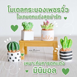 MS5588 โมเดลกระบองเพชรลายจุด 4 แบบ กระบองเพชรปลอมตกแต่งบ้าน