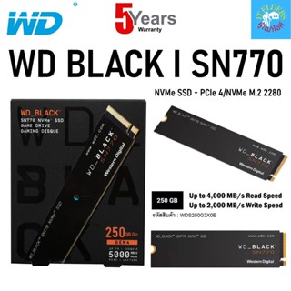 250GB SSD (เอสเอสดี) WD BLACK SN770 PCIe/NVMe M.2 2280 (WDS250G3X0E) รับประกัน 5 ปี