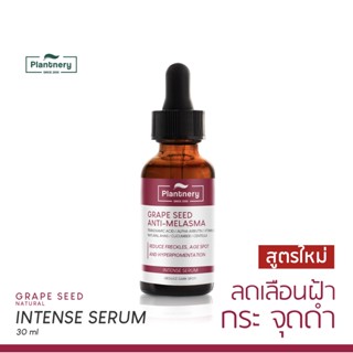 Plantnery Grape Seed Anti-Melasma Intense Serum แพลนท์เนอรี่ เกรป ซีด แอนตี้-เมลาสม่า อินเทนซ์ เซรั่ม 30ml.