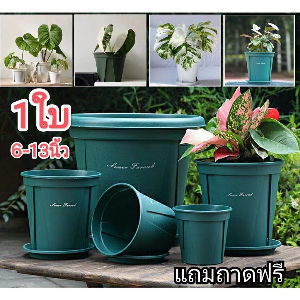 （5-13นิ้ว）กระถางต้นไม้พร้อมจานรอง ระบายน้ำได้ดี ป้องกันรากเน่า กระถางต้นไม้พลาสติก กระถางแคคตัส (QS) ราคา ถูกที่สุด ดีลบีเคเค