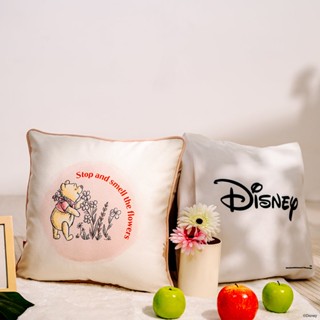 Disney home หมอน Disney รุ่น Collection ลาย winnie the pooh (46 x 45 x 13 ซม)