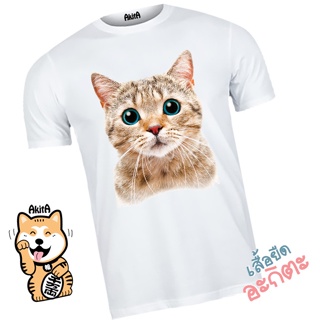 เสื้อยืดลายแมวส้ม Orang cat T-shirt_02