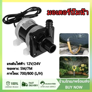 Expert ปั้มน้ำ DC12V/24V ปั๊มน้ำตู้ปลาแบบจุ่ม ปั๊มตู้ปลา ปั๊มน้ำบ่อปลา ปั๊มดูดปุ๋ย