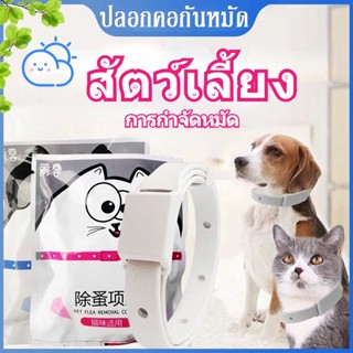 🔥การกําจัดหมัด ป้องกันเหา พร้อมส่ง กันน้ํา แมว หมา การทําความสะอาดสัตว์เลี้ยงในหลอดทดลอง🔥