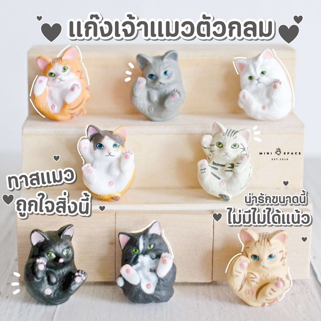 MS4798 แก๊งค์แมวน้อยตัวกลม 8 แบบ โมเดลแมวญี่ปุ่น ตุ๊กตาจิ๋ว แต่งสวน แต่งกระถาง * ถ่ายจากสินค้าจริง-จากไทย-ชุดสุดคุ้ม