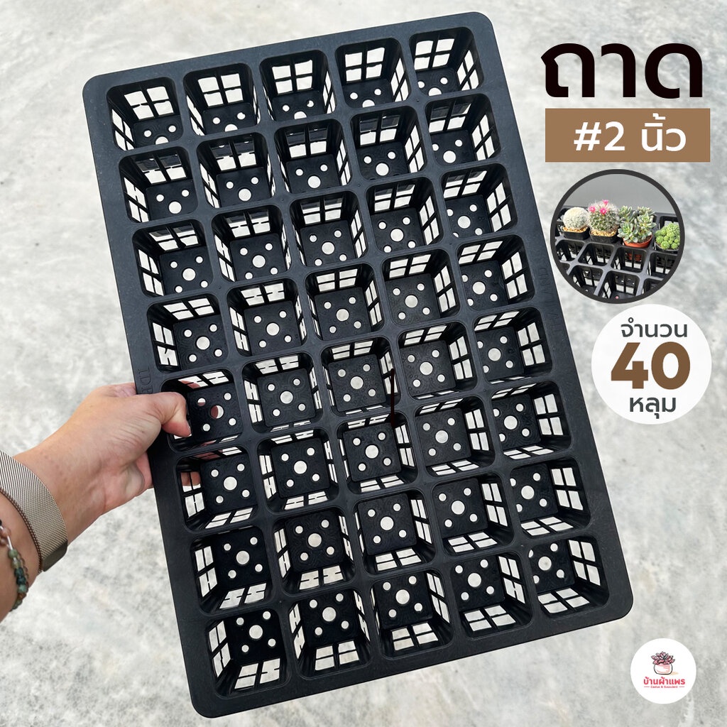 ถาด 2 นิ้ว 40 หลุม ถาดหลุมสี่เหลี่ยม สำหรับใส่กระถาง 2 นิ้ว วางต้นไม้