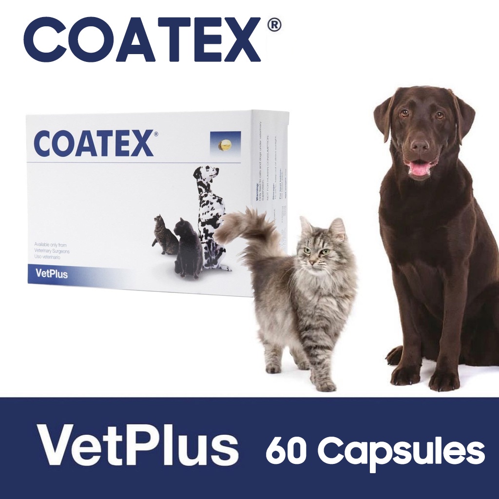 Vetplus Coatex Softgels สําหรับสุนัขและแมว 1 กล่อง