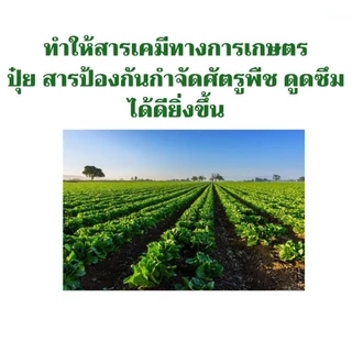 ชุดทำน้ำยาจับใบ สารจับใบ (สารเสริมประสิทธิภาพเคมีทางการเกษตร) ช่วยให้ยายึดเกาะตามใบมากขึ้น Sticking agents DIY Kit