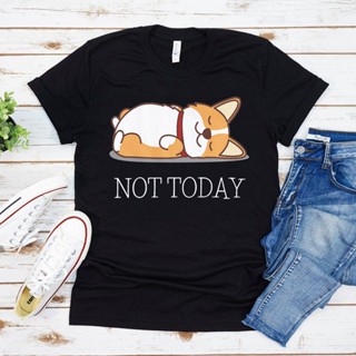 Not Today Corgis T-Shirt Women Cotton Short Sleeve Tees Women Loose Comfortable Tshirts Women Fashion Casual Summer_04