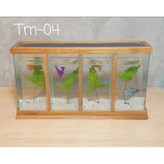 ตู้ปลากัด ไม้สักทองTm04