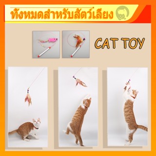 ของเล่นแมว 🐱 ไม้ตกแมว ไม้ตกแมวแบบสปริง ไม้ล่อแมว ไม้ตกแมว แบบลวดสลิง ไม้ล่อแมว ไม้ตกแมว แบบลวดสลิง ( 2 แบบ )